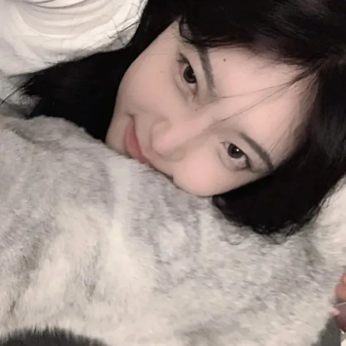 再见已是白月光